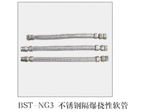BST-NG3不銹鋼隔爆撓性軟管